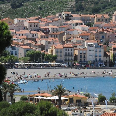 Appartement Avec Grande Terrasse Vue Sur Mer Banyuls-sur-Mer Exterior photo